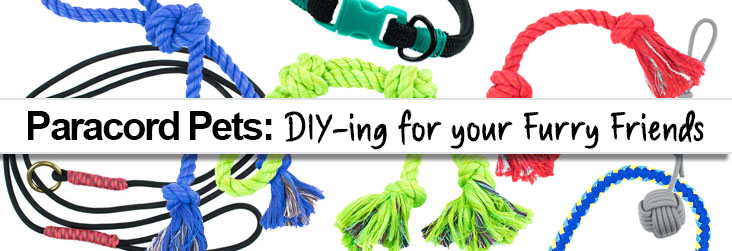 Paracord Pets - DIYing for your furry friends