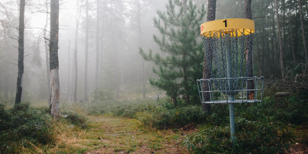 disk golf net