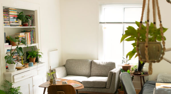 Macrame plant hanger in living room