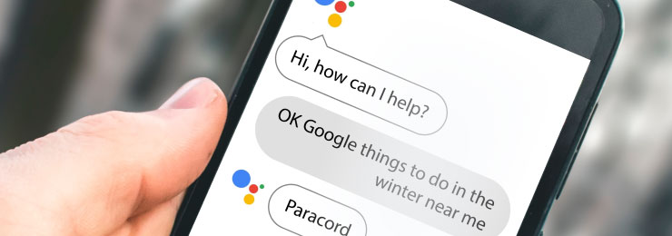 Google Assistant paracord search