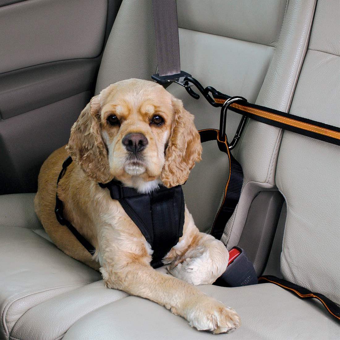 Paracord Dog Zip Line for Car