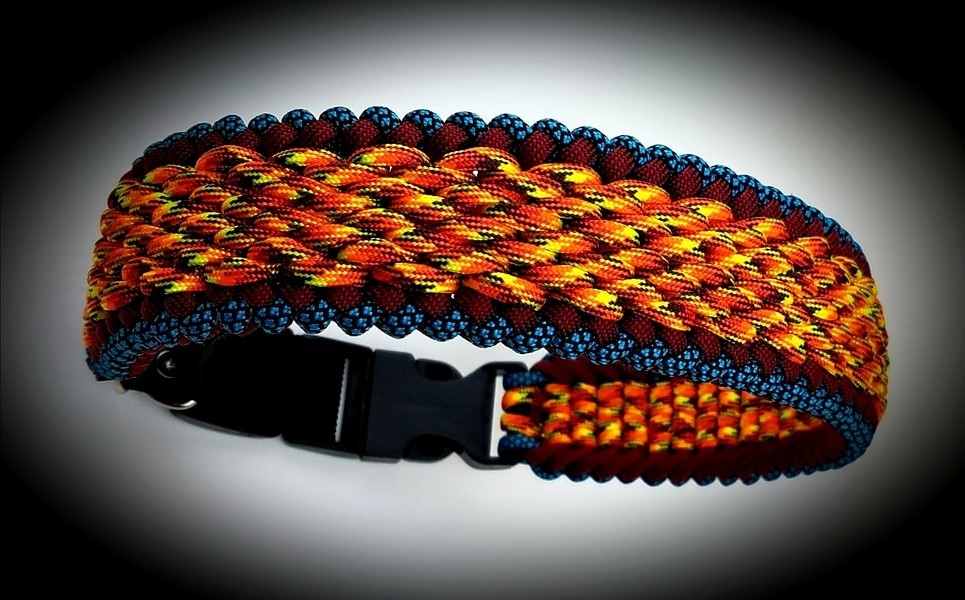 Apex Dog Collars and Leashes orange collar