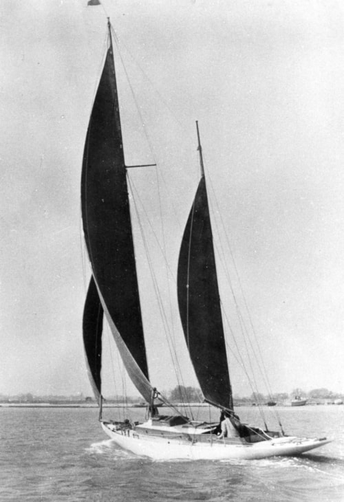 The Sailboat Sonia The Sailboat Sonia