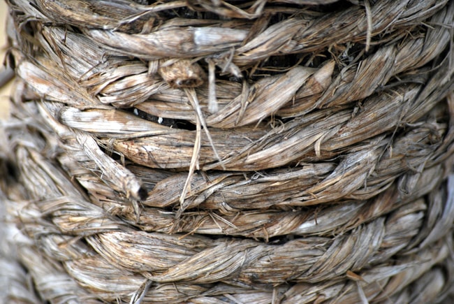 plant fiber rope