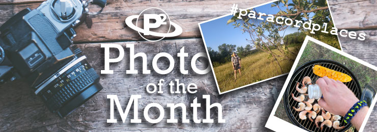 Photo of the Month Title