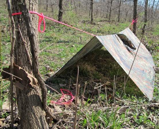 Paracord as Shelter