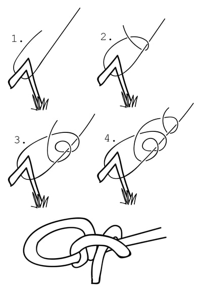 Tautline Tautline