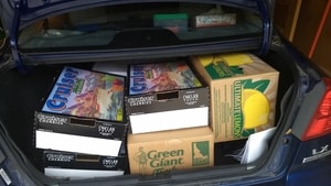 boxes in trunk