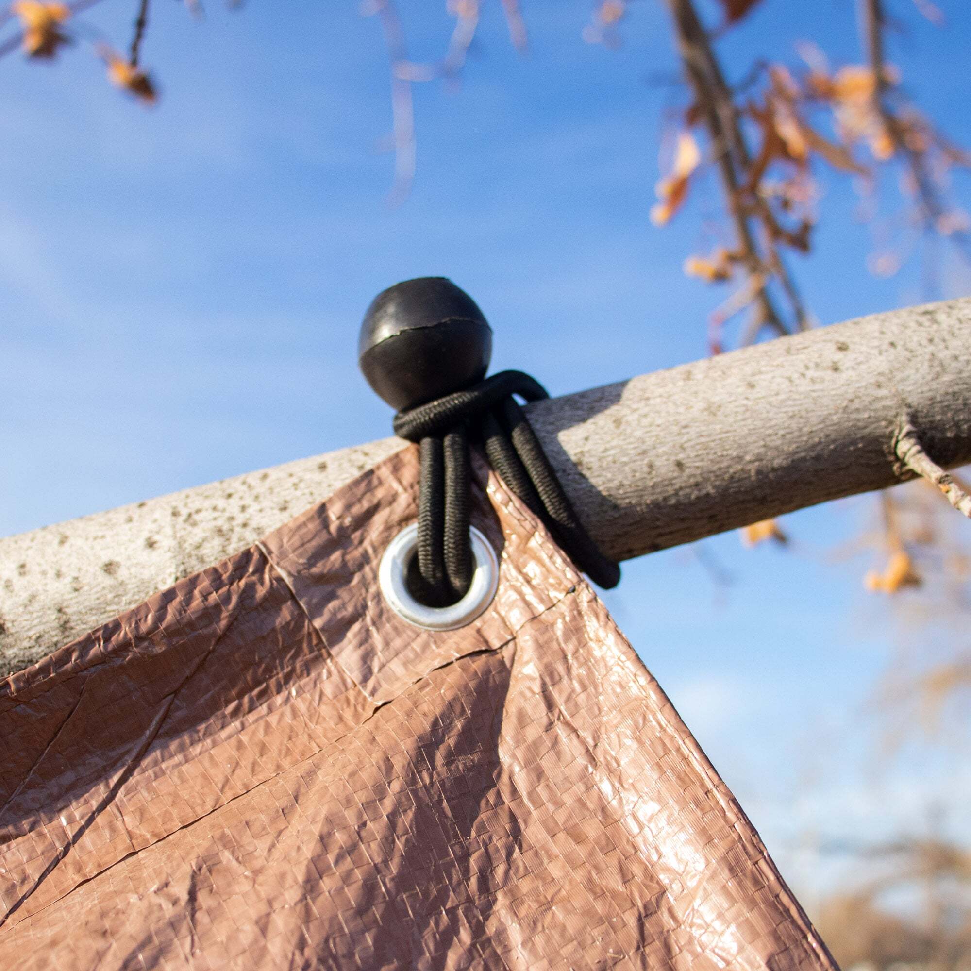 Bungee Ball