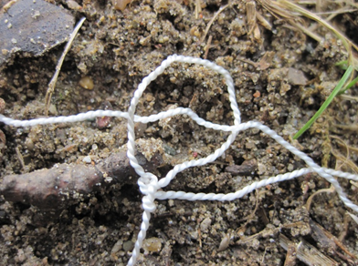 How to Build a Paracord Snare